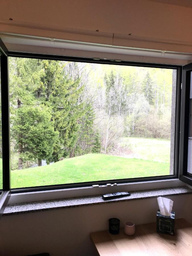 Apartment Loyd, Kranjska Gora - Studio Extérieur photo